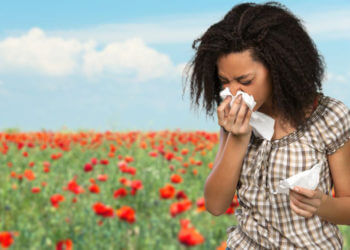 The Relationship between Pollen, Hay Fever and Your HVAC System